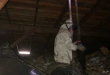 Attic Cleaning | Attic Cleaning Simi Valley, CA