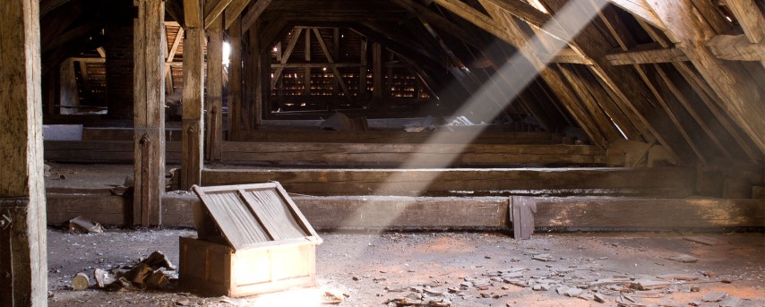 Attic Cleaning Simi Valley, CA