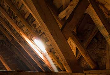 Attic Insulation Removal | Attic Cleaning Simi Valley, CA